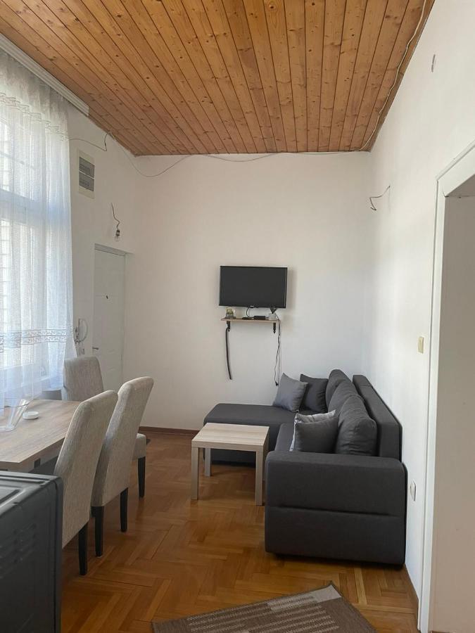Vila Miletic Vrnjačka Banja Εξωτερικό φωτογραφία