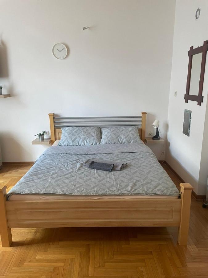 Vila Miletic Vrnjačka Banja Εξωτερικό φωτογραφία