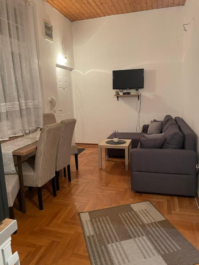 Vila Miletic Vrnjačka Banja Εξωτερικό φωτογραφία